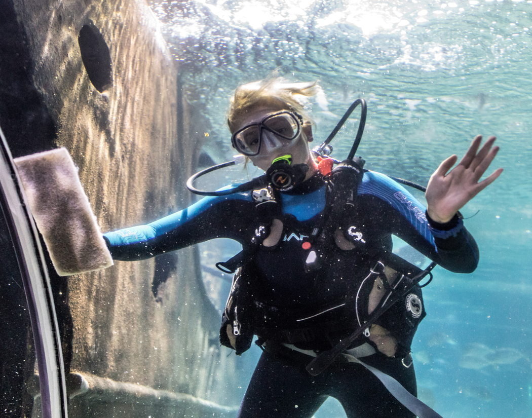 Diver at Greater Cleveland Aquarium