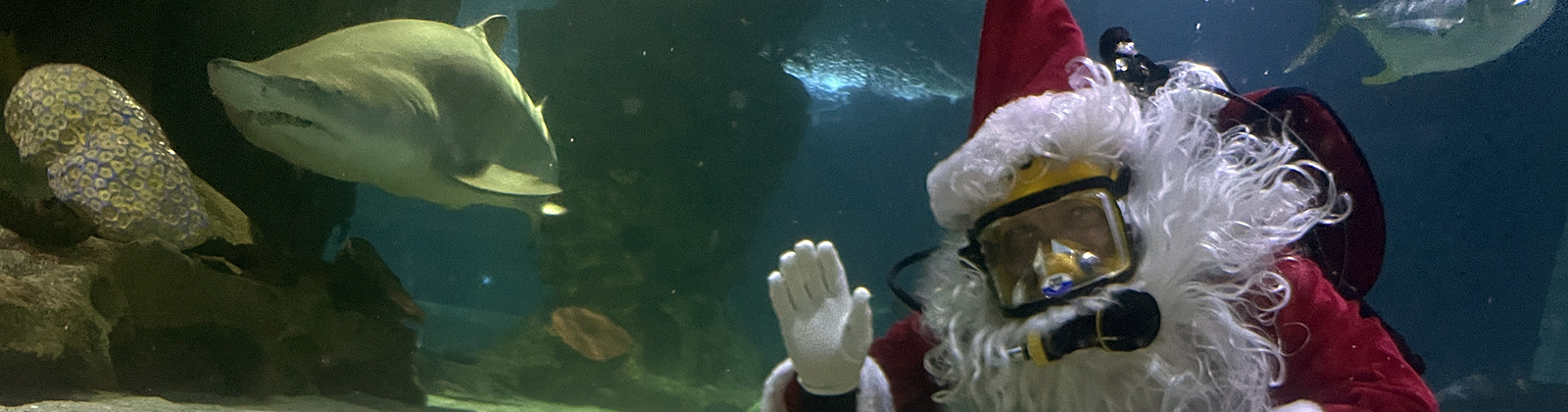 Scuba Claus Merry Meet & Greets