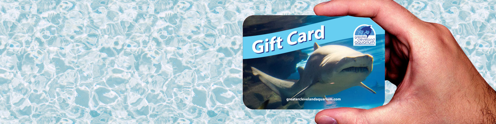 Gift Card for Greater Cleveland Aquarium
