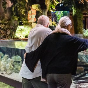 a couple looking at Amazon River habitat