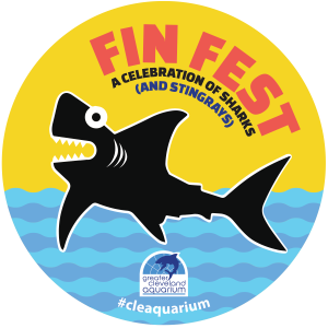 Fin Fest Logo